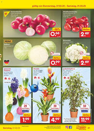 Netto Marken-Discount Prospekt woche 9 Seite 55