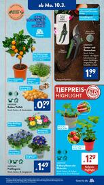 Aldi Süd Prospekt woche 11 Seite 7