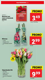 Lidl folder week 9 Pagina 34