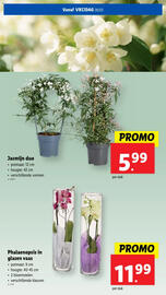 Lidl folder week 9 Pagina 64