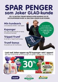 Joker Kundeavis Side 20