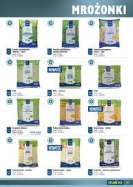 Makro gazetka Strona 39