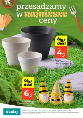 Dealz gazetka (ważność do 1-03)