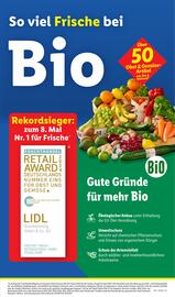 Lidl Prospekt woche 9 Seite 13