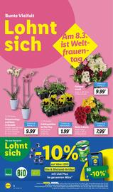 Lidl Prospekt woche 9 Seite 16