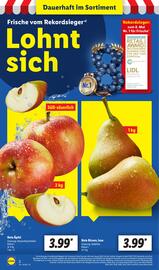 Lidl Prospekt woche 9 Seite 2