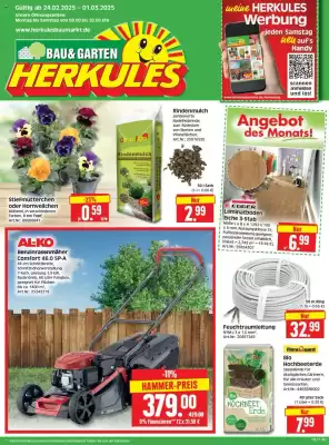 Edeka Herkules Prospekt (gültig bis 1-03)