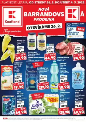 Kaufland leták (platné do 4-03)