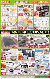 Norma Flugblatt woche 10 Seite 15