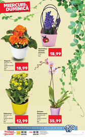 Catalog Kaufland săptămâna 9 Pagină 7