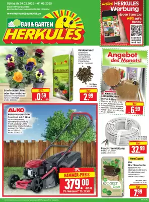 Alle baumärkte Prospekte und Angebote