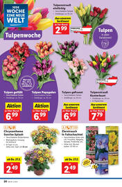 Lidl Flugblatt woche 9 Seite 22