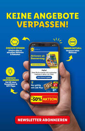 Lidl Flugblatt woche 9 Seite 45