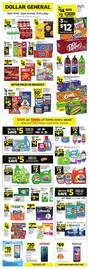 Dollar General Weekly Ad week 9 Page 1