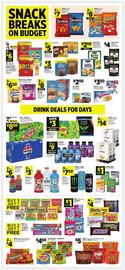 Dollar General Weekly Ad week 9 Page 3