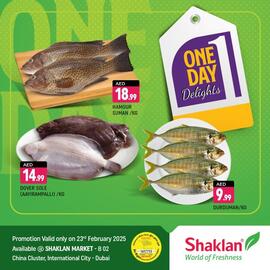 Shaklan catalogue Page 1