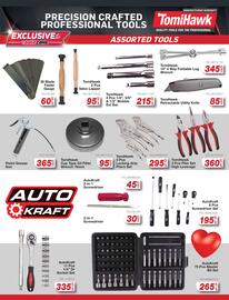 AutoZone catalogue Page 9