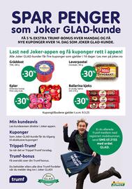 Joker Kundeavis Side 18