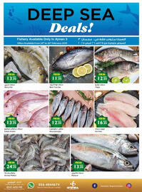 Istanbul Supermarket catalogue week 9 Page 16