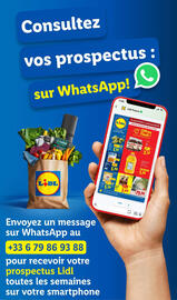 Catalogue Lidl semaine 9 page 60