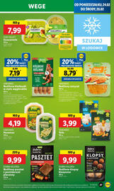 Lidl gazetka Strona 29