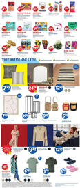 Lidl Weekly Ad week 9 Page 2