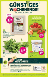 Denn's Biomarkt Flugblatt Seite 16