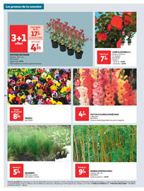 Catalogue Auchan Drive page 44