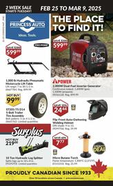 Princess Auto flyer Page 1