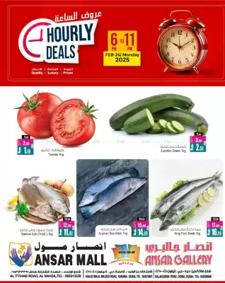 Ansar Mall catalogue (valid until 24-02)