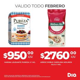 Catálogo Supermercados DIA Página 2