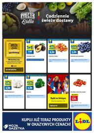 Lidl gazetka Strona 4