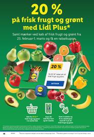 Lidl tilbudsavis Side 10