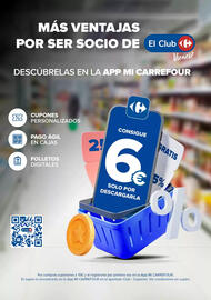 Folleto Carrefour Página 8