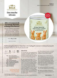 Billa Flugblatt Seite 17