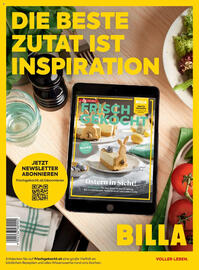 Billa Flugblatt Seite 172