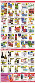 Winn Dixie Weekly Ad week 9 Page 5