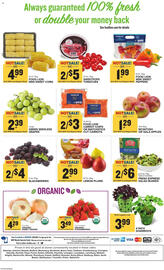 Food Lion Weekly Ad week 9 Page 13