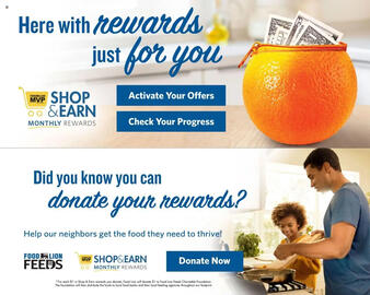 Food Lion Weekly Ad week 9 Page 2