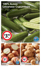 Coles catalogue week 9 Page 10