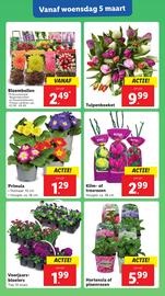 Lidl folder week 10 Pagina 15