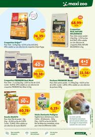 Catalogue Maxi Zoo page 7