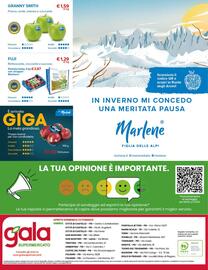 Volantino Gala Supermercati Pagina 24