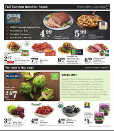 Pavilions Weekly Ad week 9 Page 2