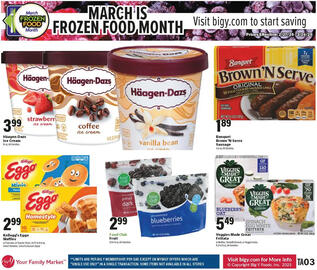 Big Y Weekly Ad week 9 Page 10