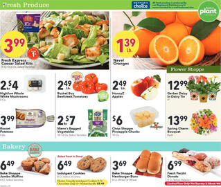 Cash Wise Weekly Ad week 9 Page 2