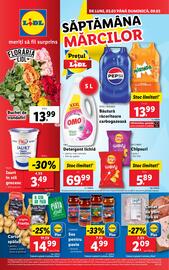 Catalog Lidl săptămâna 10 Pagină 1