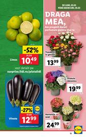 Catalog Lidl săptămâna 10 Pagină 15