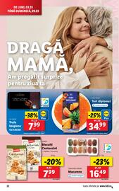 Catalog Lidl săptămâna 10 Pagină 22