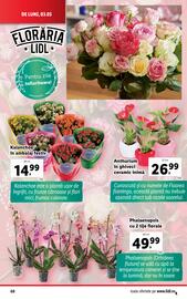 Catalog Lidl săptămâna 10 Pagină 68